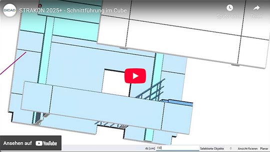 Schnittführung im Cube